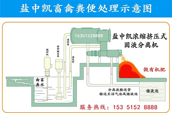 小蝌蚪视频在线高清下载观看设备